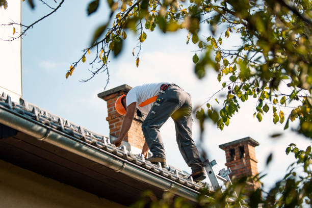 Best New Roof Installation  in Willamina, OR