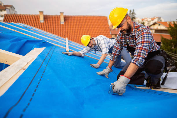 Best Roof Maintenance Services  in Willamina, OR