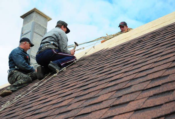 Best Best Roofing Contractors  in Willamina, OR